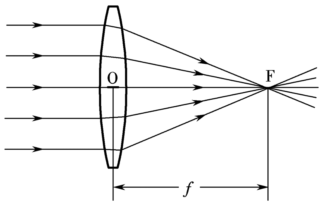 image-20211124131914899